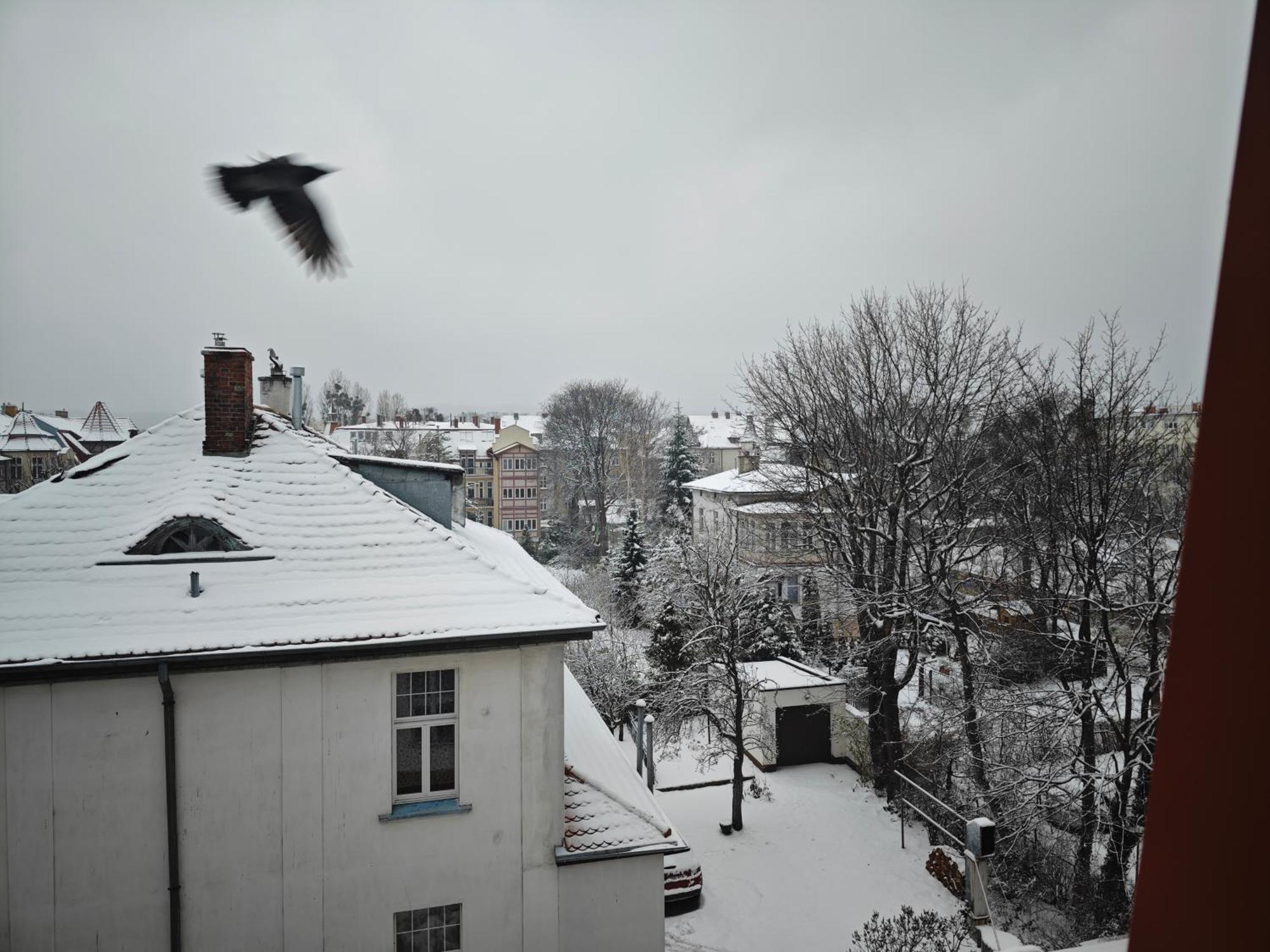 Hotel apartamentowy Ksiezniczki Sopotu Sopot